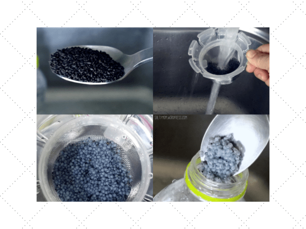 basilseed water howto