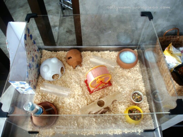 diy hamster cage3