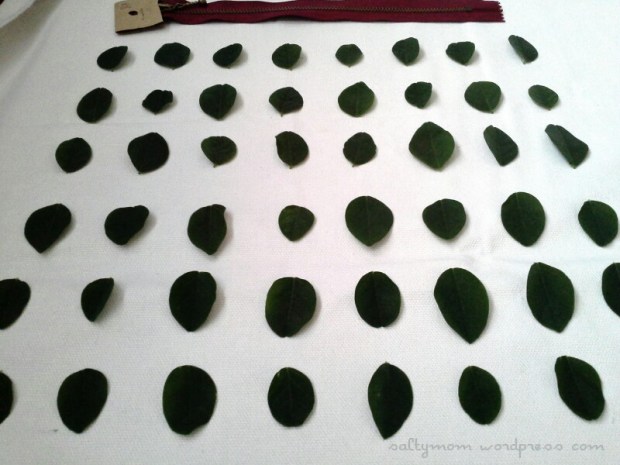 diy leaf printing pouch bag 1 by saltymom.wordpress.com