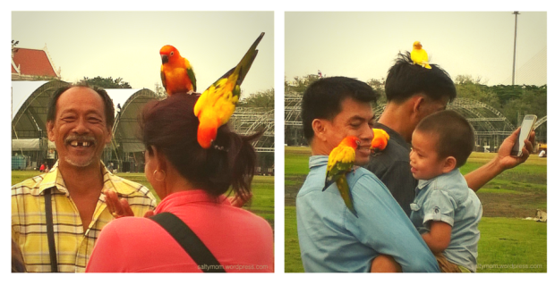 sanam luang birds