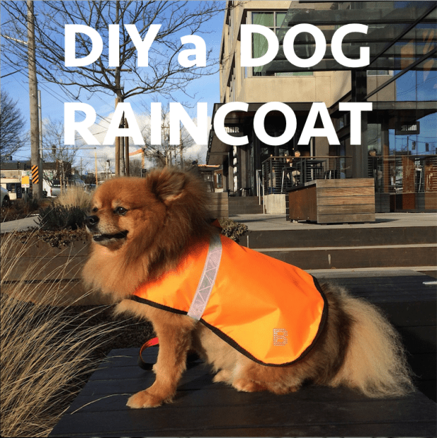Diy sew a dog raincoat with reflective band