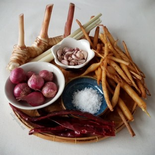 ingredients for thai curry noodles kanom jeen nam ya